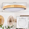 Corinto Plafondlamp LED Natuurlijke kleuren, Zwart, 1-licht