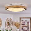 Corinto Plafondlamp LED Natuurlijke kleuren, Zwart, 1-licht