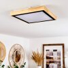 Corinto Plafondlamp LED Natuurlijke kleuren, Zwart, 1-licht