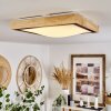 Corinto Plafondlamp LED Natuurlijke kleuren, Zwart, 1-licht