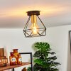 Denno Plafondlamp Goud, Zwart, 1-licht