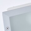 Brilliant Flossy Inbouw verlichting Zilver, 1-licht