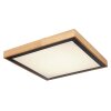 Globo BRUNO Plafondlamp LED Wit, 1-licht