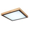 Globo BRUNO Plafondlamp LED Wit, 1-licht