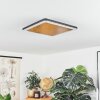 Guacacallo Plafondpaneel LED Goud, Zwart, Wit, 1-licht