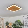 Guacacallo Plafondpaneel LED Goud, Zwart, Wit, 1-licht