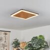 Guacacallo Plafondpaneel LED Goud, Zwart, Wit, 1-licht