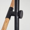 Tanabita Staande lamp Natuurlijke kleuren, Zwart, 1-licht Tanabita Staande lamp Natuurlijke kleuren, Zwart, 1-licht
