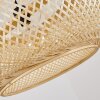 Alavi Hanger Zwart, 1-licht