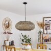 Alavi Hanger Zwart, 1-licht