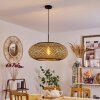 Alavi Hanger Zwart, 1-licht