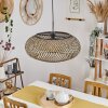 Alavi Hanger Zwart, 1-licht