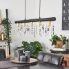 Tenche Hanglamp Goud, Zwart, 5-lichts