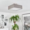 Taboga Plafondlamp Nikkel mat, 2-lichts