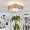 Taboga Plafondlamp Nikkel mat, 2-lichts