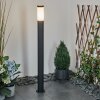 Ruti Padverlichting Zwart, 1-licht
