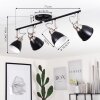 Gralingen Plafondlamp Nikkel mat, Zwart, 4-lichts