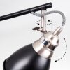Gralingen Plafondlamp Nikkel mat, Zwart, 4-lichts
