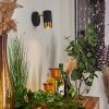 Campanas Muurlamp Messing, Zwart, 1-licht