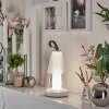 Yari Tafellamp voor buiten LED Grijs, Transparant, Helder, Wit, 1-licht, Afstandsbediening, Kleurwisselaar