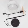 Bigand Staande lamp Natuurlijke kleuren, Zwart, 1-licht Bigand Staande lamp Natuurlijke kleuren, Zwart, 1-licht