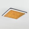 Guacacallo Plafondpaneel LED Goud, Zwart, Wit, 1-licht