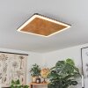 Guacacallo Plafondpaneel LED Goud, Zwart, Wit, 1-licht