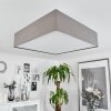 Taboga Plafondlamp Nikkel mat, 4-lichts