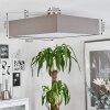 Taboga Plafondlamp Nikkel mat, 4-lichts
