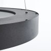 Playas Hanglamp LED Zwart, 1-licht