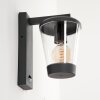Eloida Buiten muurverlichting Antraciet, 1-licht, Bewegingsmelder