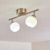 Motala Plafondlamp LED Nikkel mat, 2-lichts, Afstandsbediening, Kleurwisselaar