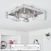 Marsen Plafondlamp LED Nikkel mat, 4-lichts, Afstandsbediening, Kleurwisselaar