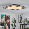 Nabbas Plafondpaneel LED Zwart, 1-licht