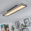 Nabbas Plafondpaneel LED Zwart, 1-licht