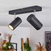 Javel Plafondlamp Chroom, Zwart, 2-lichts