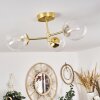 Yucao Plafondlamp Goud, 3-lichts