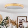 Samaira Plafondlamp LED Natuurlijke kleuren, 1-licht, Afstandsbediening
