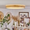 Samaira Plafondlamp LED Natuurlijke kleuren, 1-licht, Afstandsbediening