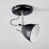 Gralingen Plafondlamp Nikkel mat, Zwart, Wit, 1-licht