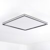 Nabbas Plafondpaneel LED Zwart, Wit, 1-licht