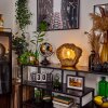 Hasteboda Tafellamp Bruin, houtlook, 1-licht