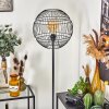 Pampanillo Staande lamp Zwart, 1-licht