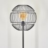 Pampanillo Staande lamp Zwart, 1-licht
