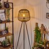 Combeima Staande lamp Zwart, 1-licht