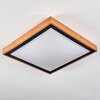 Sobredo Plafondlamp LED Wit, 1-licht