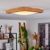Sobredo Plafondlamp LED Wit, 1-licht