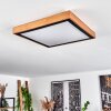 Sobredo Plafondlamp LED Wit, 1-licht