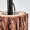 Perdigueira Tafellamp Natuurlijke kleuren, Zwart, 1-licht
