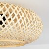 Alavi Plafondlamp Zwart, 1-licht